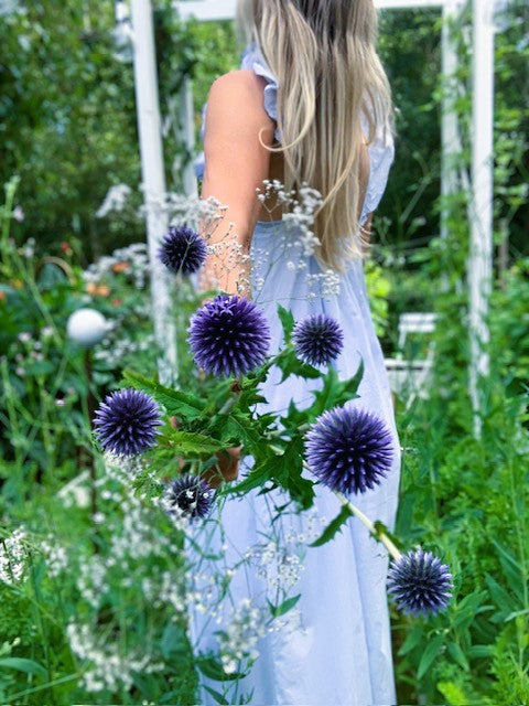 Julia bland blommor och glashus bolltistel ingemarsdotter