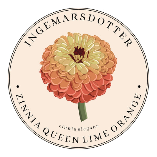 Zinnia Queen Lime Orange
