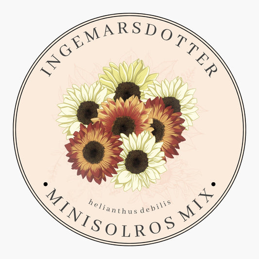 Minisolros